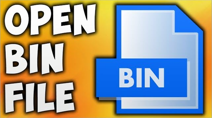 Steps To Mount The BIN File